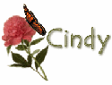 Cindy's signature with flower and butterfly
